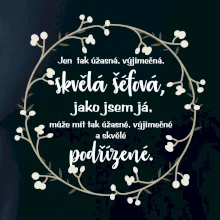 Jen tak skvělá šéfová jako jsem já