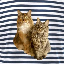 Kočky vectorizované  (Moňas)