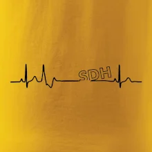 SDH EKG SDH EKG