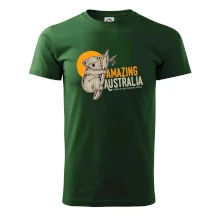 Amazing Australia koala