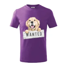 Zlatý retriever - štěně wanted