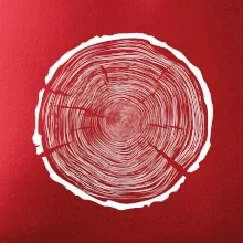 Letokruhy 100 bez věku