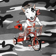 Bull terier anděl (Pecka design)