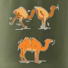 Pravda o velbloudech