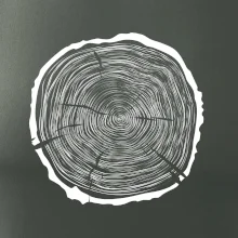 Letokruhy 65 bez věku