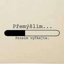Přemýšlím