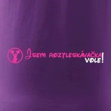 Jsem roztleskávačka! Vole! Jsem roztleskávačka! Vole!