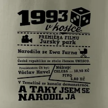 1993 v kostce