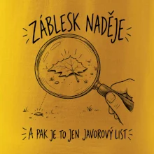 Záblesk naděje