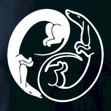 Jezevčíci - Jin jang