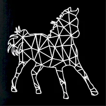 Geometrie - kůň jednobarevná