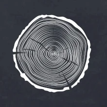 Letokruhy 45 bez věku