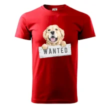 Zlatý retriever - štěně wanted