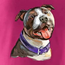 Americký stafordširský teriér  kreslený