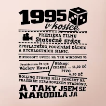 1995 v kostce