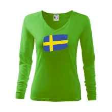 Švédsko vlajka štětkou