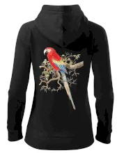 Papoušek na listnatém stromě