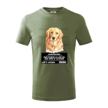 Lump a darebák zlatý retrívr