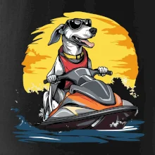 Chrt na vodním skútru