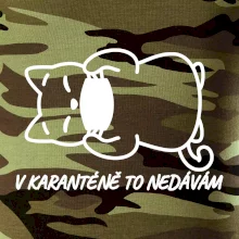 V karanténě to nedávám