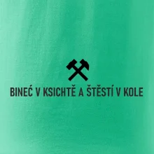 BINEĆ V KSICHTĚ A ŠTĚSTÍ V KOLE﻿