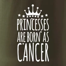 Princesses are born as Cancer - Rak Princesses are born as Cancer - Rak