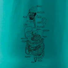 Skica lidských orgánů