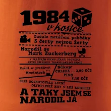 1984 v kostce