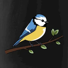 Sýkorka modřinka na větvi