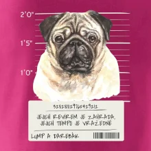 Lump a darebák mopsík