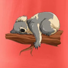 Koala na větvi