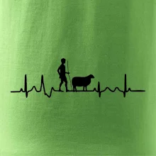 Ekg pastevec ovcí