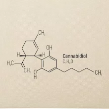Molekulární struktura CBD (Canabidiol)