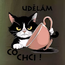 Kočka - udělám co chci