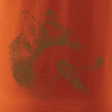 Husky - hlava z boku