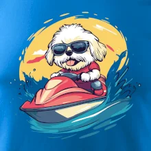 Lhasa Apso na vodním skútru