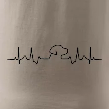 Labrador EKG