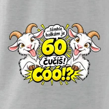 Těmhle holkám je 60, čučíš co?