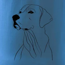 Labrador černá kresba