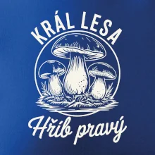 Král lesa hřib pravý
