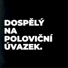 DOSPĚLÝ NA POLOVIČNÍ ÚVAZEK.