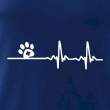 Veterinář EKG