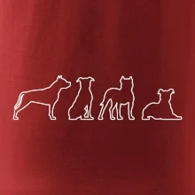 Americký stafordširský teriér v různých pozicích