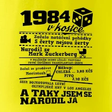1984 v kostce