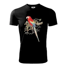 Papoušek na listnatém stromě