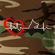 Německý ovčák ekg