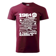 1964 v kostce