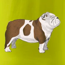 Vintage English bulldog