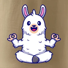 Yoga meditace - lama