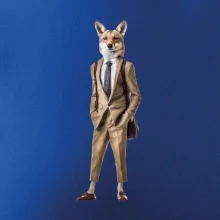 Vlk elegán Vlk elegán